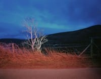 Gerard Byrne —  Gerard Byrne 'A country road. A tree. Evening. Beside Knockree, looking towards Crone and Bahana, Glencree, Co. Wicklow.' 2007 c-type photograph COURTESY OF THE ARTIST AND LISSON GALLERY, LONDON