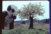 Fischli & Weiss, Flowers and Questions: A Retrospective — The
            Right Way, Peter Fischli & David Weiss, 1983 16mm film, 55 minutes Copyright The Artists