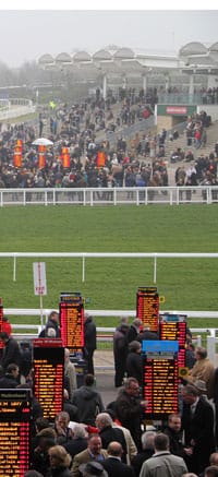 
Cheltenham Race CoursePhotograph by Richard Whitby
