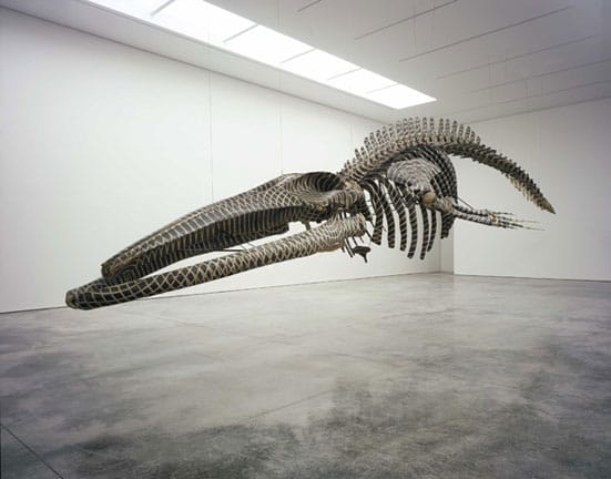 Gabriel Orozco — Dark Wave, Gabriel Orozco, 2006 Courtesy Jay Jopling/ White Cube (London). Photo © Stephen White