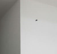 Invisible — 