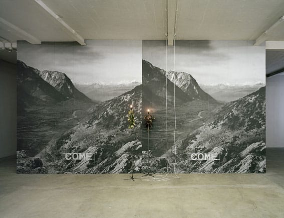 Roy Voss — Roy Voss Pine 2008 (installation view)
Courtesy of the artist and Matt's Gallery, London