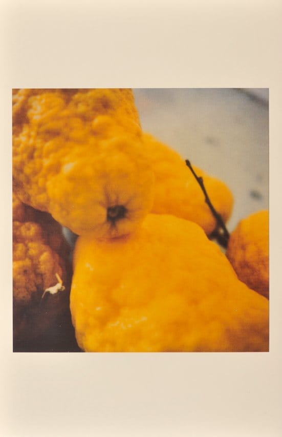 Time Regained: Cy Twombly Photographer and Guest Artists — 
Lemons, Gaeta, 2005
© Cy Twombly. Print Richard Cook.
