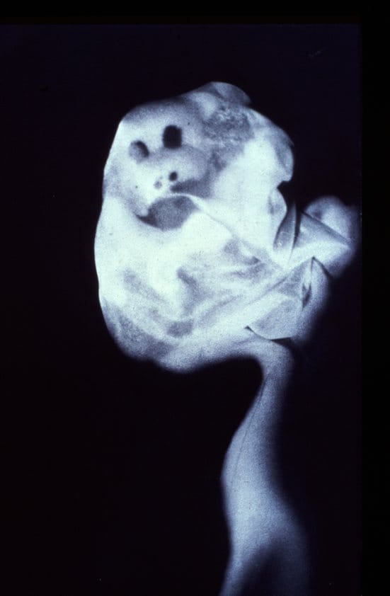David Askevold: The Disorientation Scientist — 
The Poltergeist, 1979 (detail)
A collaboration between David Askevold and Mike Kelley
Courtesy and Copyright David Askevold Estate
