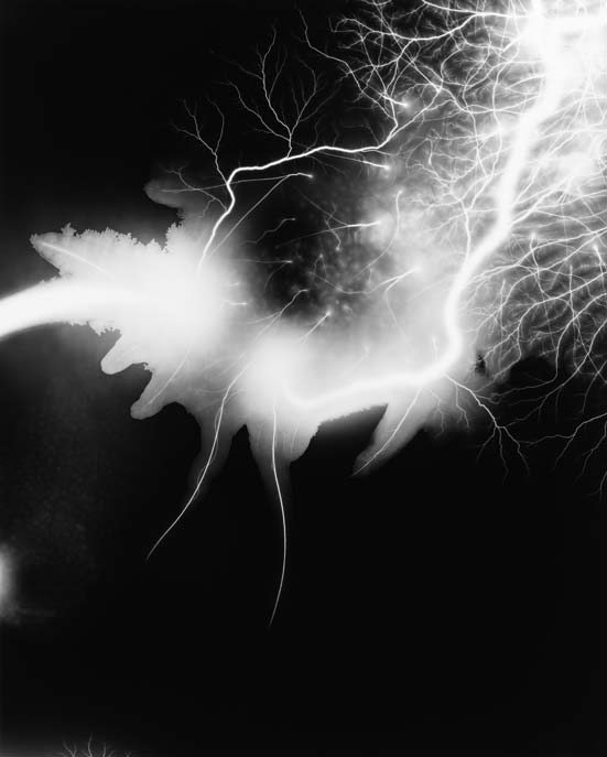 Hiroshi Sugimote: Lightning Fields and Photogenic Drawing — 
Lightning Fields 168, 2009
Gelatin silver print: 149 x 119.4 cm
© Hiroshi Sugimoto
