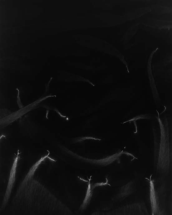 Hiroshi Sugimote: Lightning Fields and Photogenic Drawing — 
Lightning Fields 190, 2009
Gelatin silver print: 149 x 119.4 cm
© Hiroshi Sugimoto
