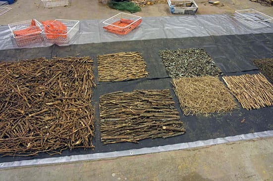 Antti Laitinen at the Finnish Pavilion, Venice Biennale — 
 Forest Square work in process
