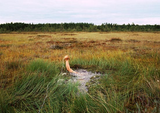 Antti Laitinen at the Finnish Pavilion, Venice Biennale — 
Antti Laitinen Self Portrait on the Swamp, 2006 Diasec mounted C-type print, 160 x 115 cm
