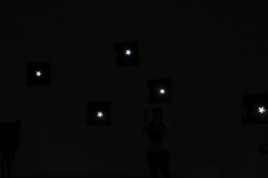 Wafaa Bilal's <em>The Hierarchy of Being</em> at Maraya Art Park, Al Majaz Waterfront, Sharjah, curated by Sara Raza — Wafaa Bilal The Hierarchy of Being 2013
Photo courtesy of Orlando V. Thompson II