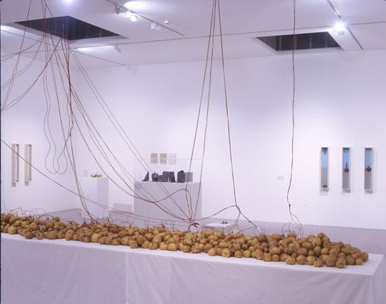 Victor Grippo: Tables of Work and Reflection —  Victor Grippo  Naturalizar al hombre, humanizar a la naturaleza, o
            Energía vegetal (Man Naturalization, nature Humanization,
            or Vegetal Energy)  1977, reconstruction 2004  Fundación Victor
            Grippo (c) the artist  Courtesy Alexander and Bonin, New York