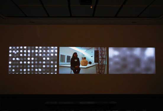 Eric Fong Ways of Seeing: Blindness and Art 2008
