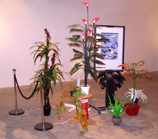 
Adrian Lee
'Island'
dimensions variable
2009
