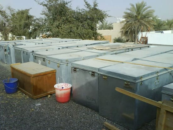 
'Storage Containers on The Flying House roof'
2008
(credit: Ben Tomlinson)
