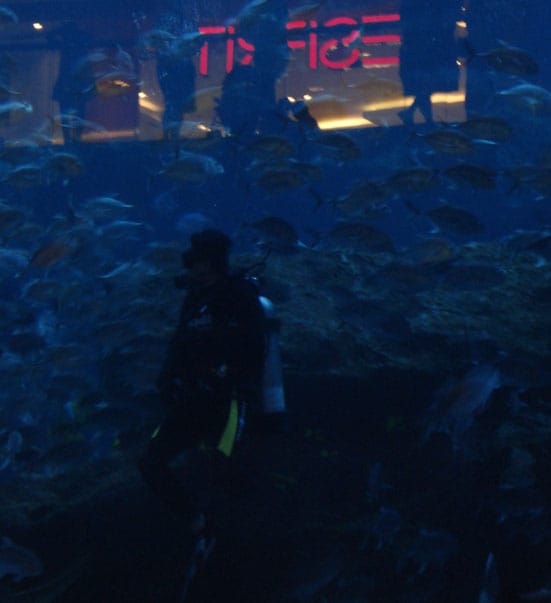 
Scuba diver in Dubai Mall - photo Richard Whitby
